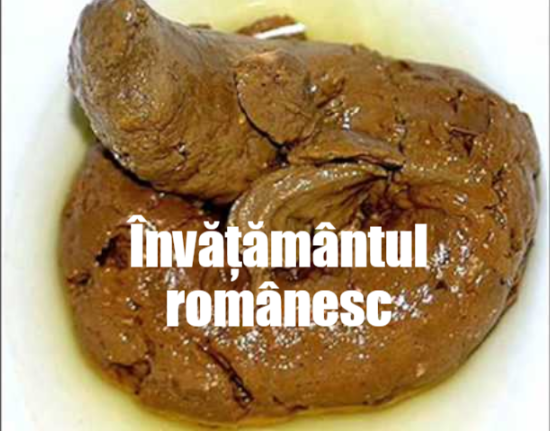 Învățământul românesc face totul pentru a asigura și anul viitor, orele de meditații atât de necesare dascălilor