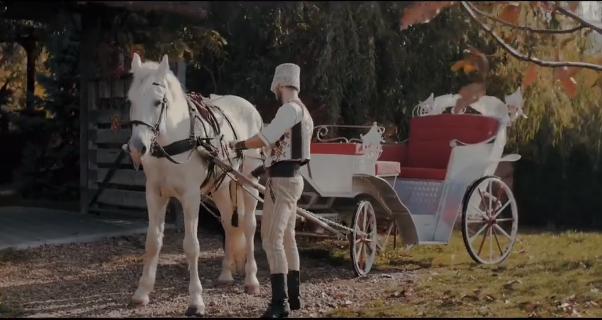 Căruța cu cai