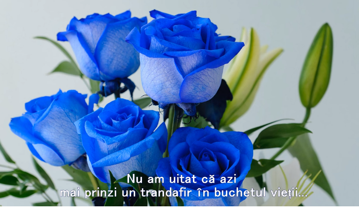 DE ZIUA TA..